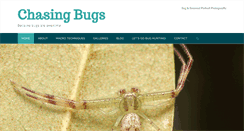 Desktop Screenshot of chasingbugs.com