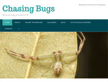 Tablet Screenshot of chasingbugs.com